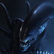 Fox Em - steam id 76561197960655890