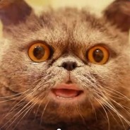 KotMixail