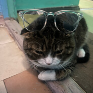 starina - steam id 76561199875226006