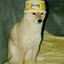 dogoarmy