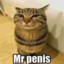 mister_penis