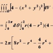 Stupid dog allsababa