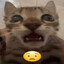 صقر