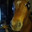 Yakutian Horse Flogger