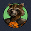 Rocket Raccoon