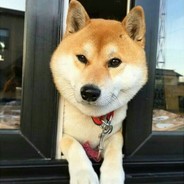 千山暮雪  只影向谁去