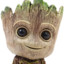 Groot