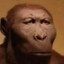 Stoned Ape