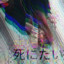 Molly_mrr_