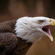 WWWWWWWWWWW - steam id 76561198263483383