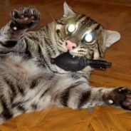 Neo - steam id 76561197961885713