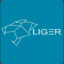 Liger_gamer