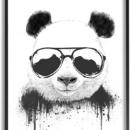 cool panda