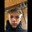 Tiit_0n_tagas1