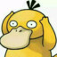 witt
