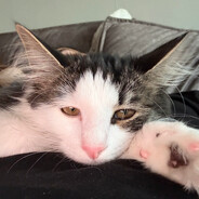 ★★✩kichmes - steam id 76561199122632561