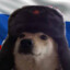 DanTheMan