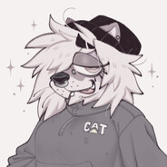 ⋆｡°✩BellaPaws✩°｡⋆
