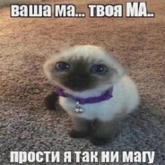 xd