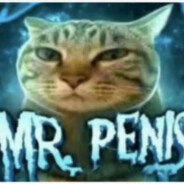 Mr.Penis avatar