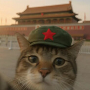 风风风风风风风风风