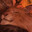 Anton's Avatar