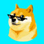 Doge Inu When Lambo