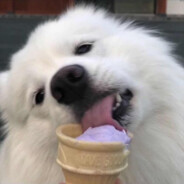 你找到灯露椎了吗