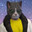 Maverick’s avatar