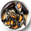 Mussel