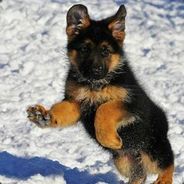 kyoti - steam id 76561197970948066