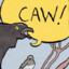 corvid enjoyer