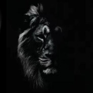 the loin's Avatar