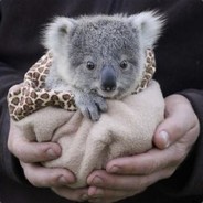 Positive Mental Attitude