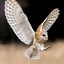 wisebarnowl57