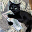The Rich CAT