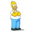 Homer