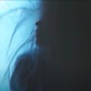 鹤望兰无凋零之时，比翼鸟永世长存