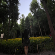 可以站着不动让我打吗