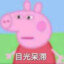 也诸佩琪