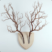 我听见了你的声音