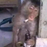 TimmyTuffGuy - steam id 76561199434994922