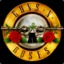 Guns &amp; Roses