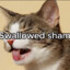 I SWOLLED SHAMPOO