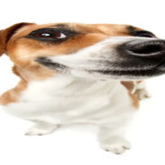 нурофенEn3RGY