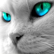 rythm avatar