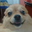KELSINHO O PALESTRINHA