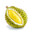 King of Fruits