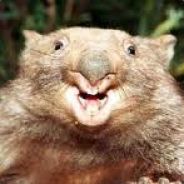 Dirty Wombat