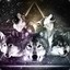 Wolfye The Wolf || cs.money